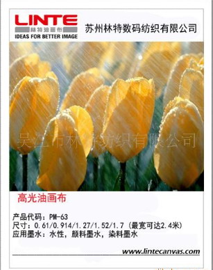高光喷绘油画布