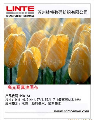 高光写真油画布