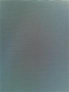 F2099