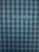 X040