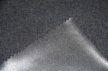 2/2斜阳离子