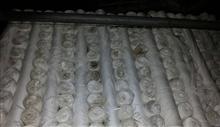雪纺