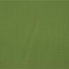 50D阳涤格子