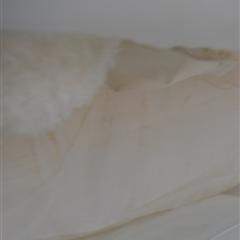 菱形格 75D/72F*75D/72F 服装