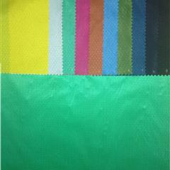 羽绒服面料 20D尼龙轻薄羽绒