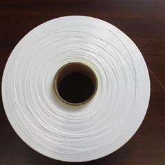 涤纶丝FDY 22dtex/24f