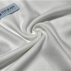 R60*R60平纹全棉面料