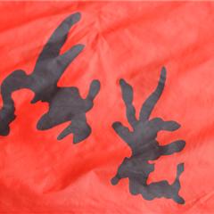 100%涤纶辊涂涂层面料