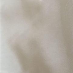 0.3格子300T涤塔夫