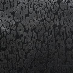 16S棉涤弹力纱卡 1/3斜