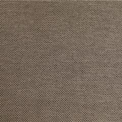 600D半阳涤-B