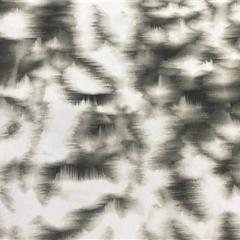 75D*150D涤纶印花