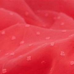 锦纶圆点