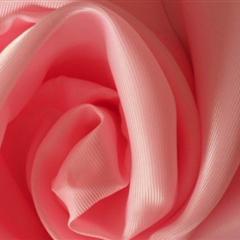 SPH2/1斜（天米绸）