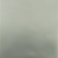 20*50弹力仿双绉