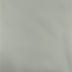 15+15*50弹力复合双绉