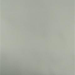 15+15*75弹力复合双绉