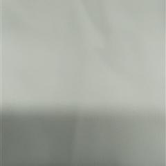 50*50弹丝弹力双绉