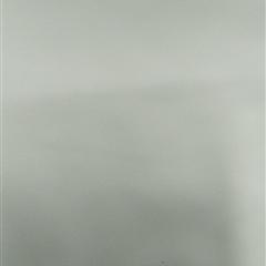 15+15*50假捻丝弹力绒斜纹