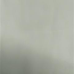 50+50*50复合双绉