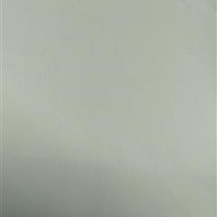 15+15*150假捻丝弹力绒缎