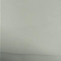 20+26*75复合斜纹绸