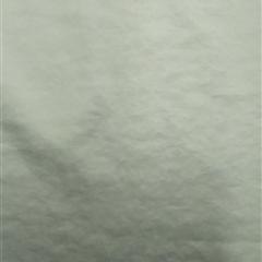 XXFZ20190423118