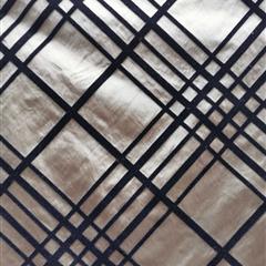 有光彩尼斯绒格