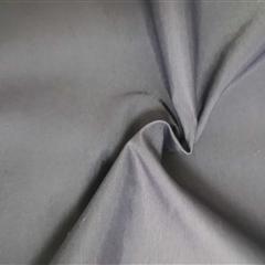 2/2斜21S消光锦棉