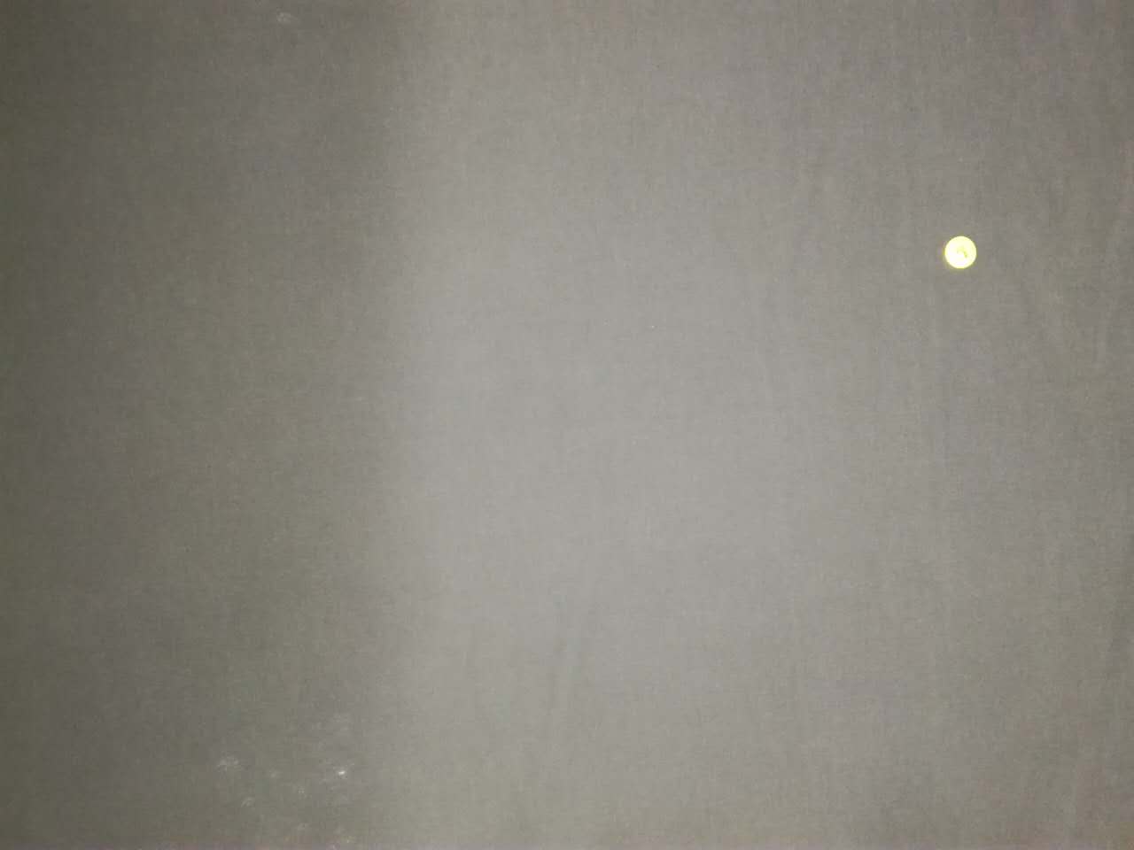 230T锦涤平桃