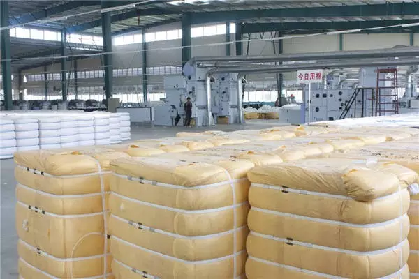 分析师研究员预测_银丰棉花股票_棉花市场行情分析