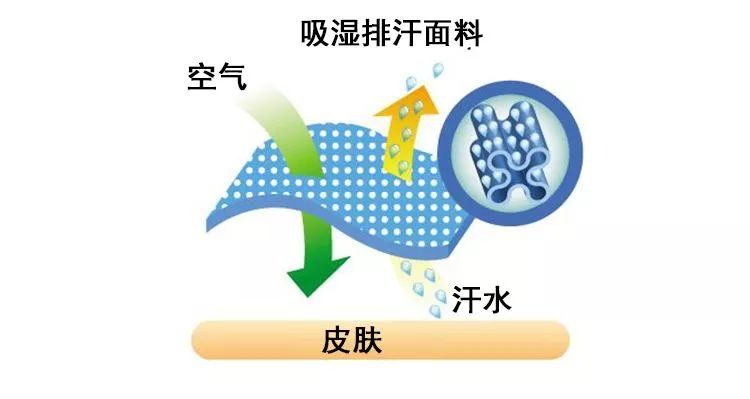 https://mmbiz.qpic/mmbiz_jpg/SZZn6bgicxTojYBw3JPHfDaEFkkXaZFCHO0VMWNdEE1jakyVTXNNB0KYXXguJ13d3w8RcaJHWMBKDq5oXc3g49g/640?wx_fmt=jpeg&wxfrom=5&wx_lazy=1&wx_co=1