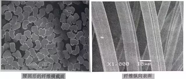 纤维内外层结构较均匀,纤维横截面的皮芯层结构没有普通粘胶纤维明显